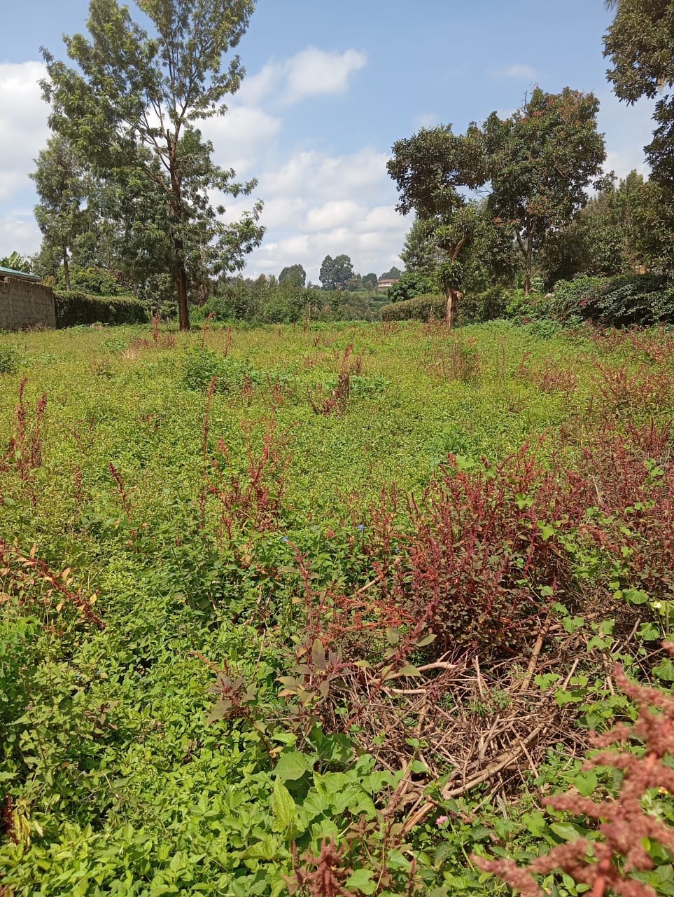 Land in Kikuyu